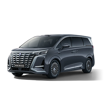 2025款太阳集团D9